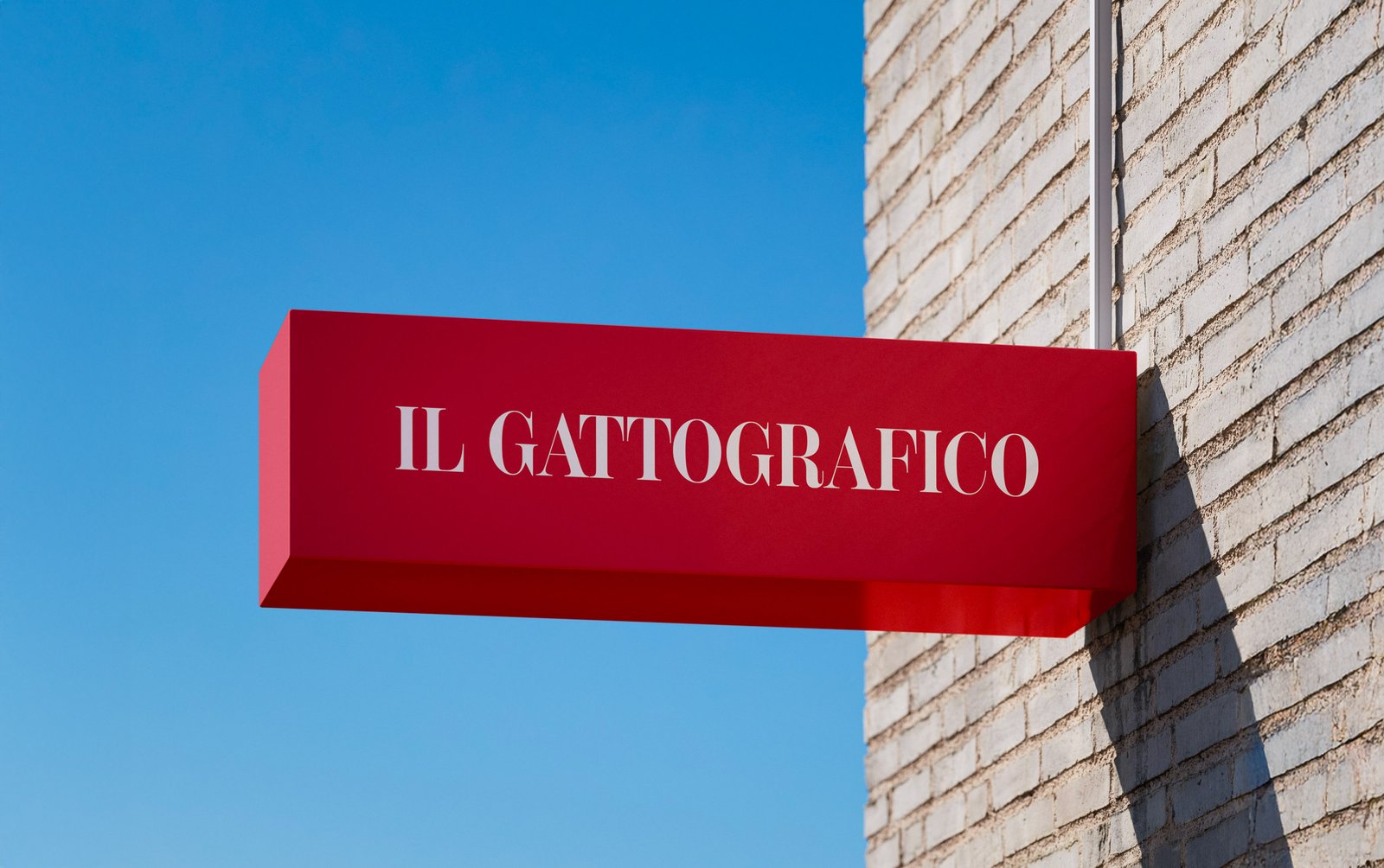 IL GATTOGRAFICO